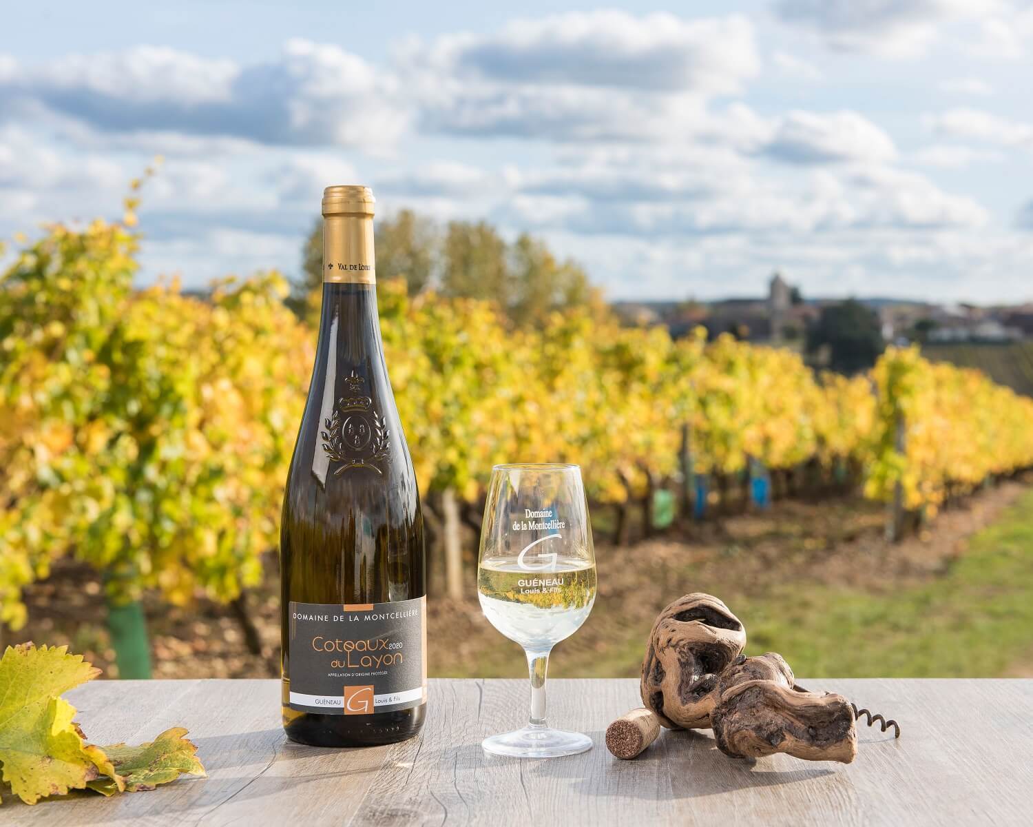 Logo GUENEAU Hubert & Fils