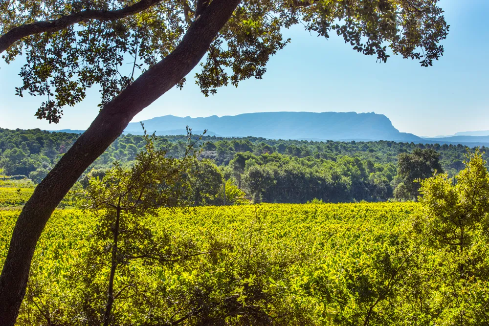 Bandeau Les Vignerons d’Aix-en-Provence