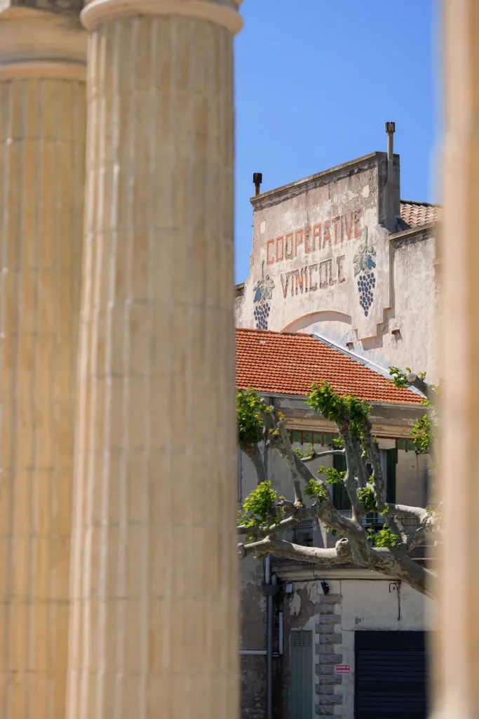 Photo de Les Vignerons de Mistral