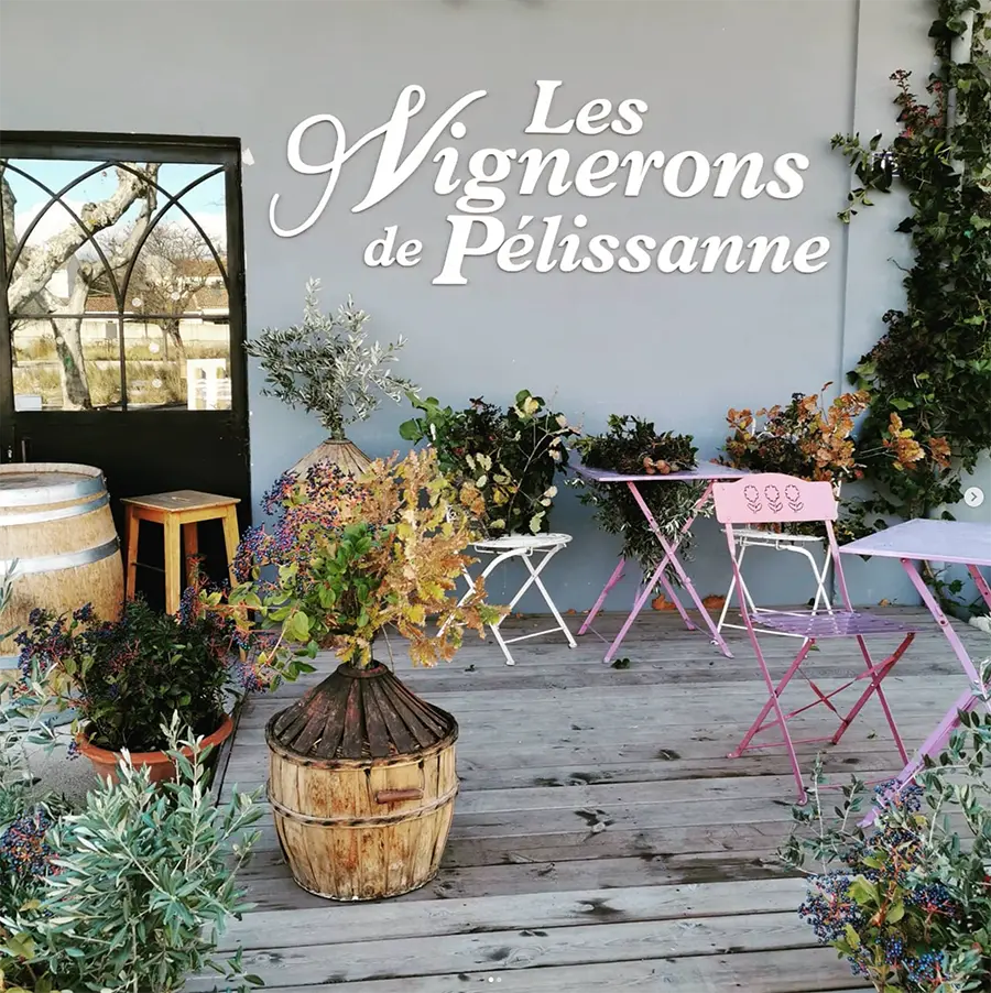 Bandeau Les Vignerons de Pélissanne