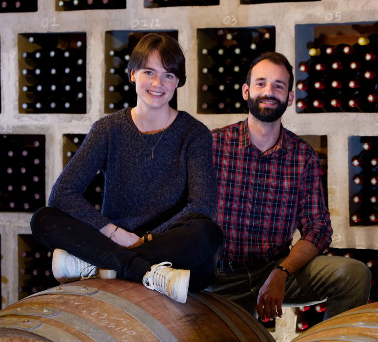 Les vins BIO du Châteauneuf-du-Pape