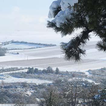 Bandeau Lheritier Duchene