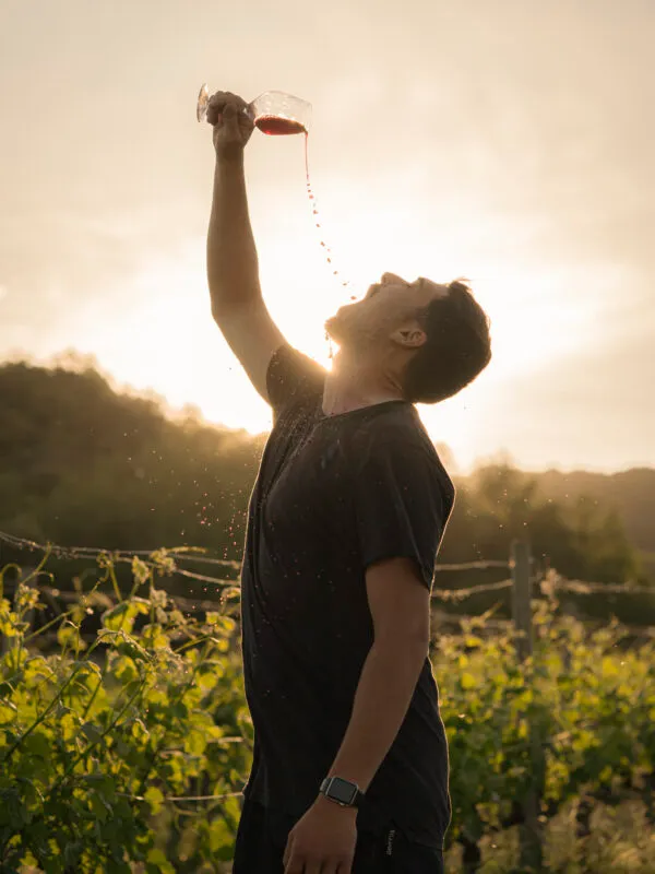 Maison ARDEVINS Alain CHOUKROUN