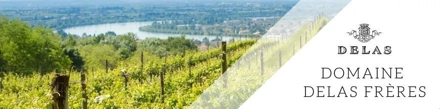 Maison Delas Frères