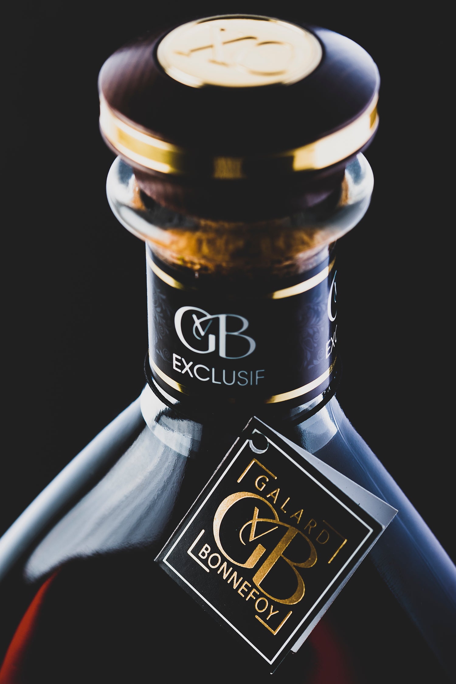 Maison Galard-Villier