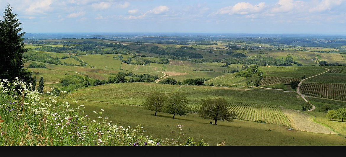 Photo de Maison Gouillaud