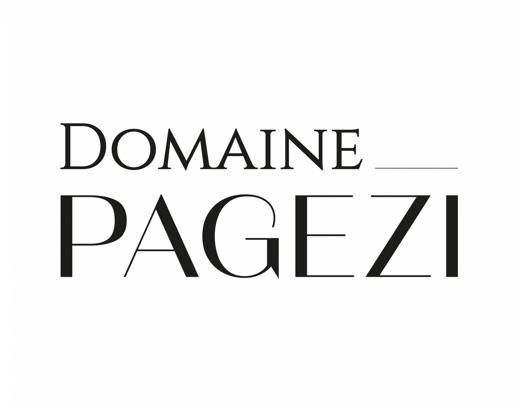 Logo Maison Pagezi