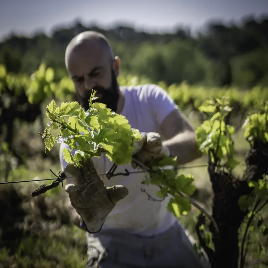 Photo de Maison Pagezi