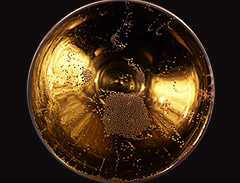 Photo de Maison Roederer