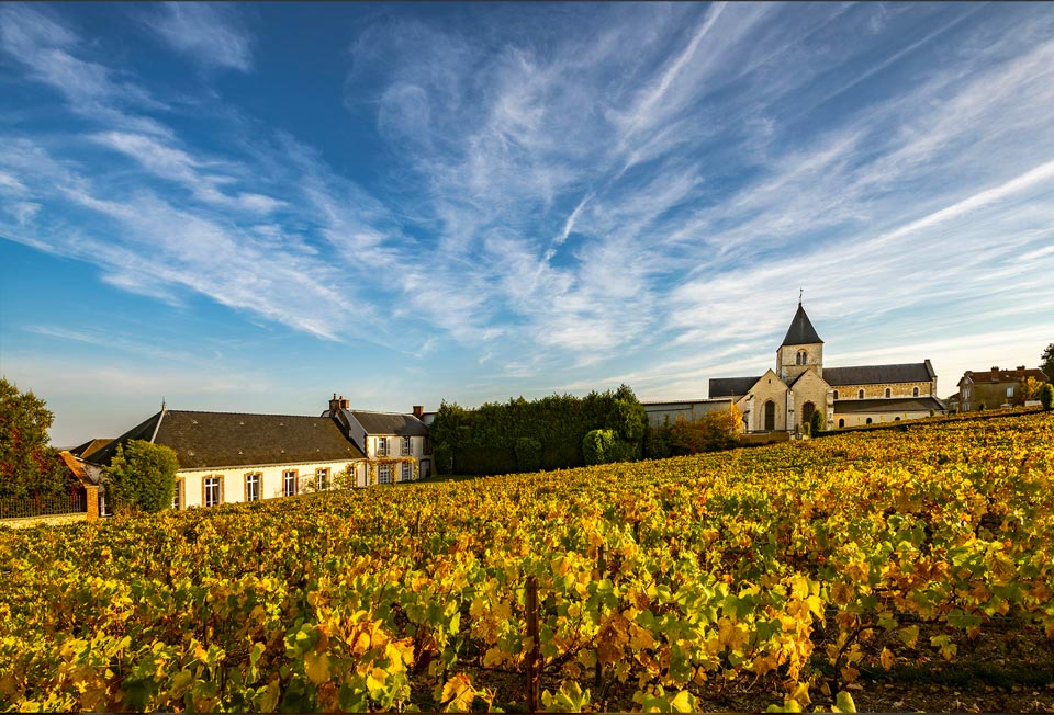 Photo de Maison Salon