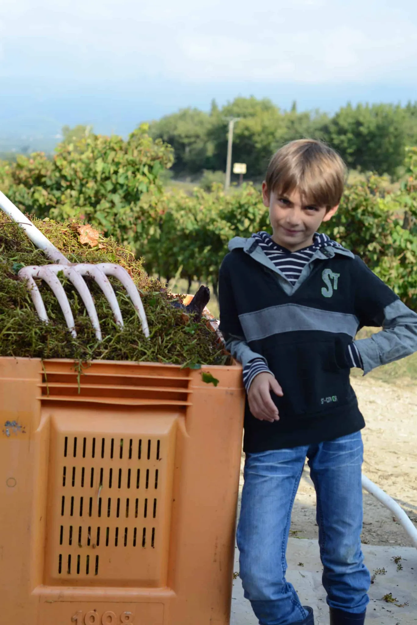 Bandeau Marrenon Pichot & Fils-Domaine des Marchands