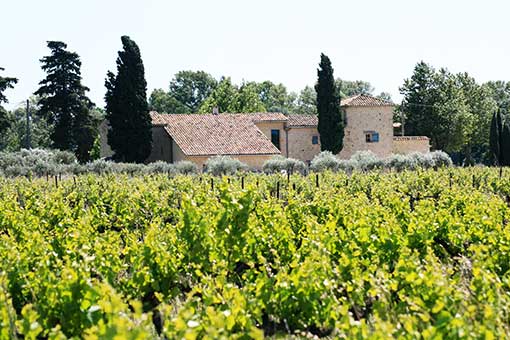 Bandeau MAS CARON Marc BOULON