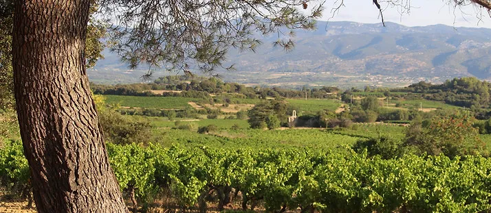 Bandeau Mas de CAPDANIEL Sophie JOULLIE