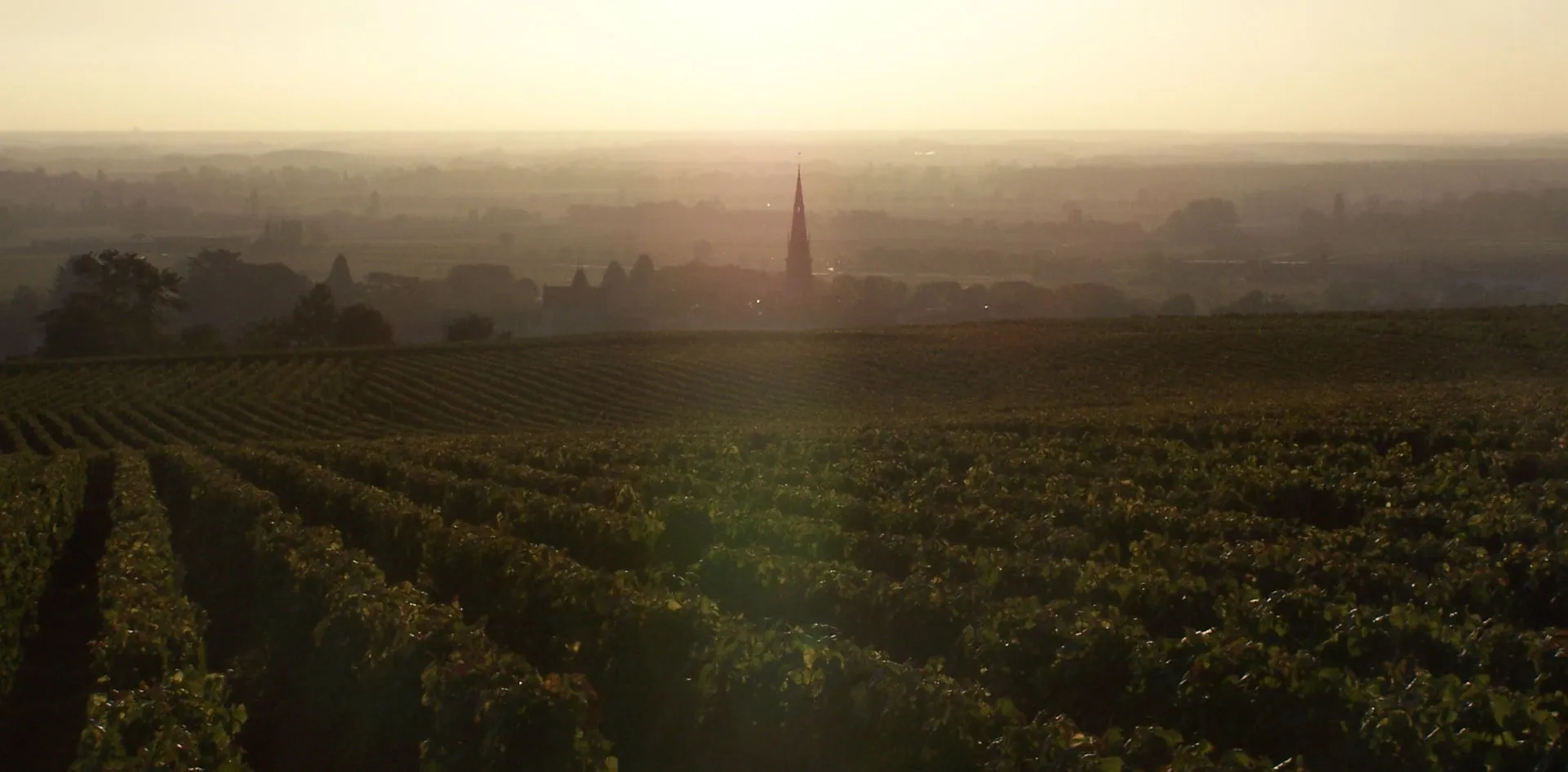 Bandeau Mas de FOBIS Clément LABRY