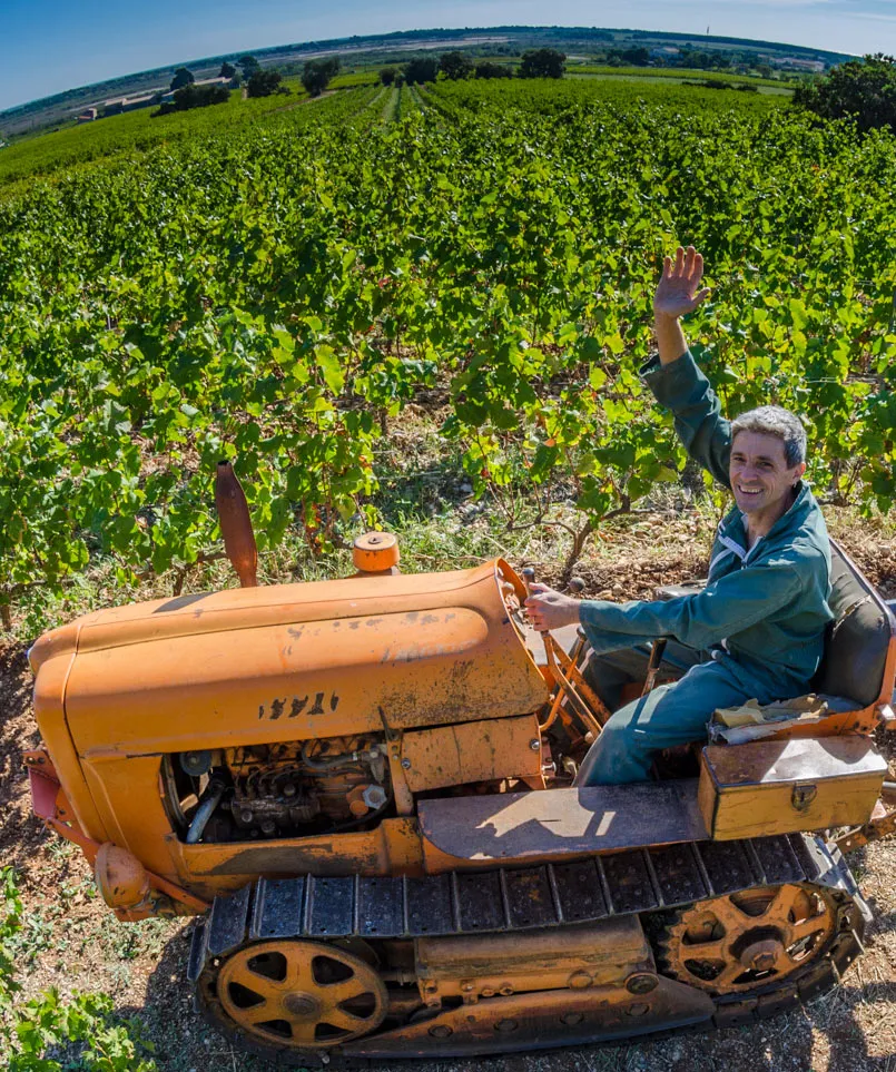 Mas de la plaine haute