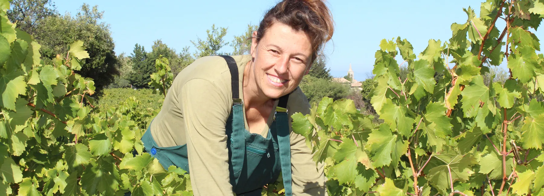 Bandeau Mas Isabelle