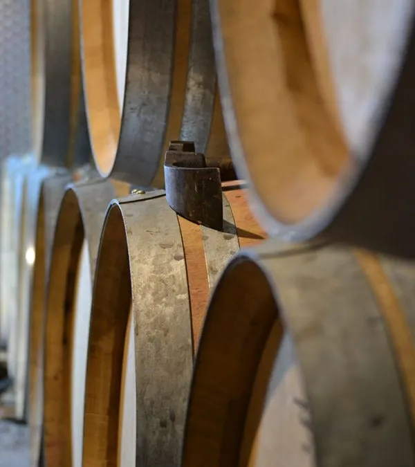 Photo de Mas pas res Julien TRICHARD