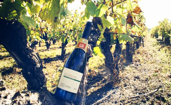 MEIGOON Gauthier OLLIVIER