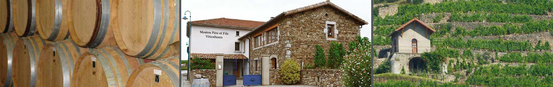 Bandeau Mouton Père & Fils