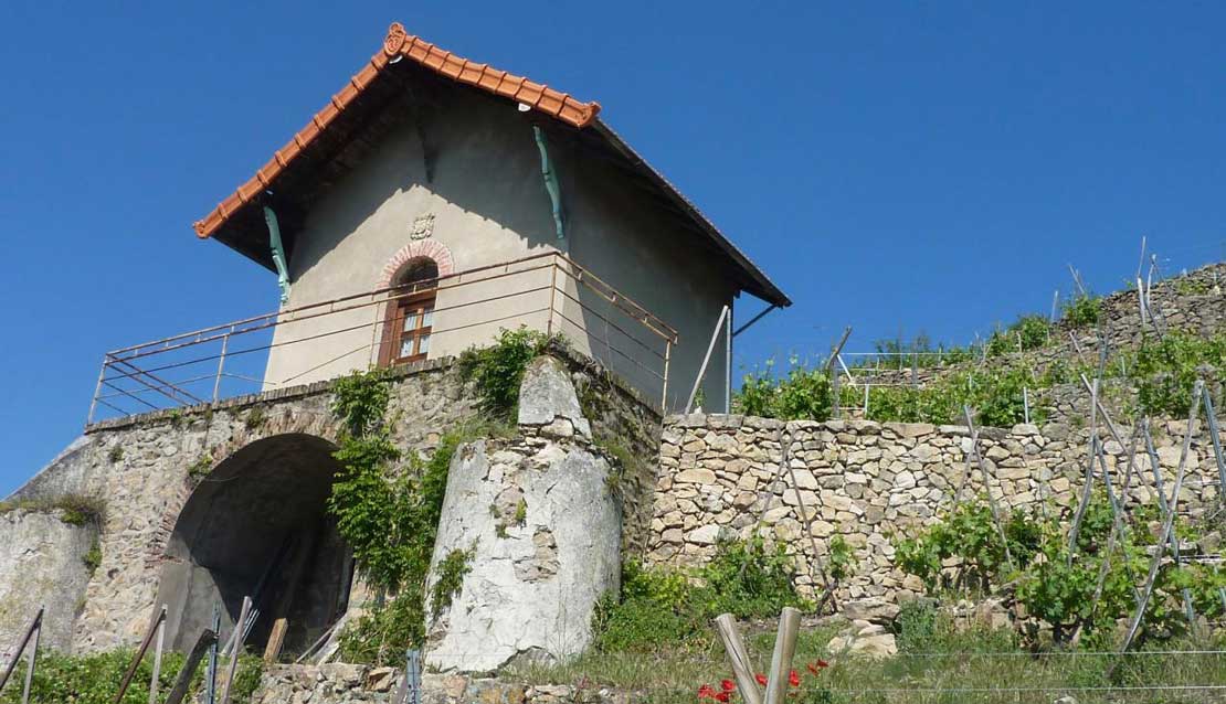 Photo de Mouton Père & Fils