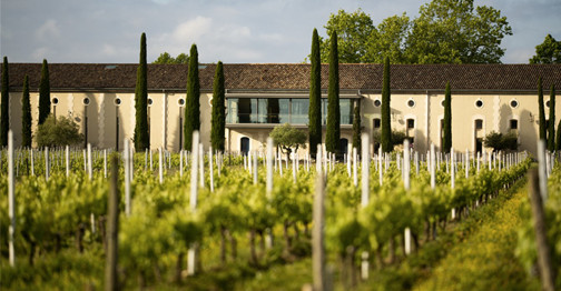 New Zealand Winegrowers