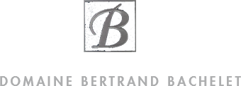 Bandeau Petrus