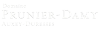 PRUNIER DAMY PHILIPPE