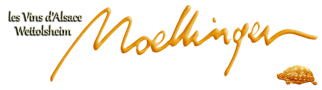 Bandeau SCEA Moellinger