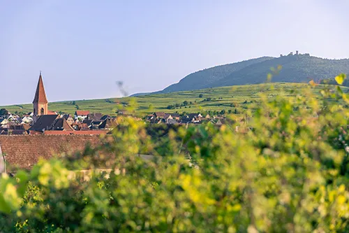 Bandeau SCHAFFHAUSER JEAN-PAUL SARL