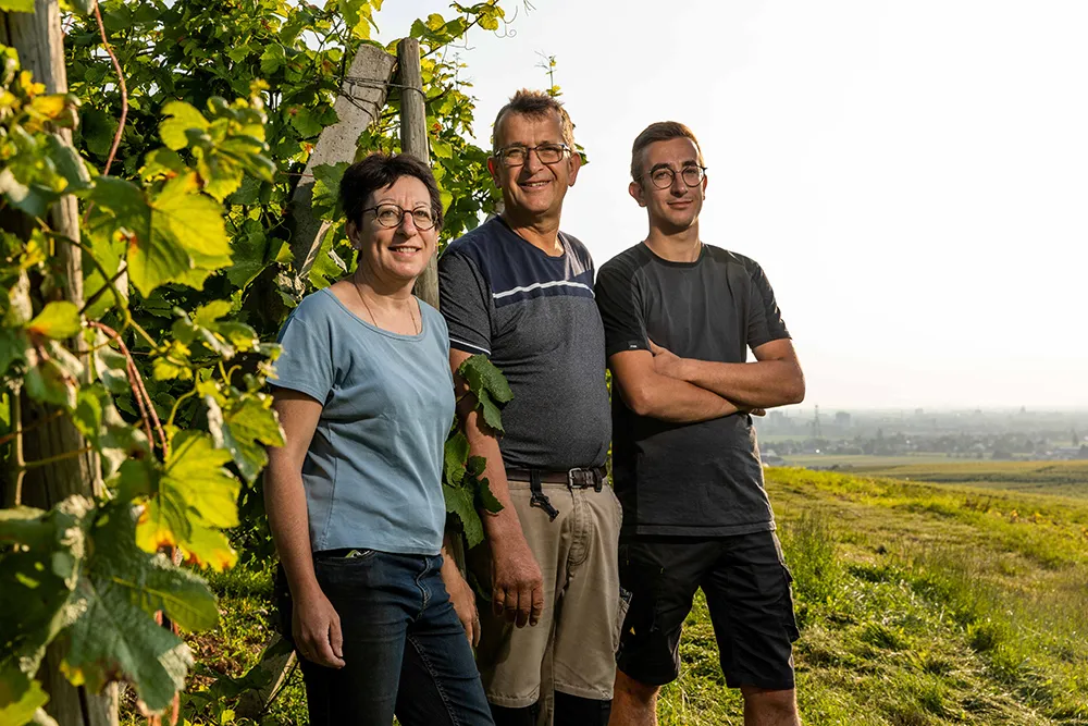 Photo de SCHAFFHAUSER JEAN-PAUL SARL