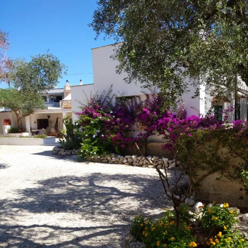 TENUTA BELVEDERE Gianluca CABRINI