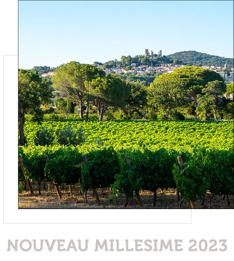 TERRES AILEES DE GONFARON