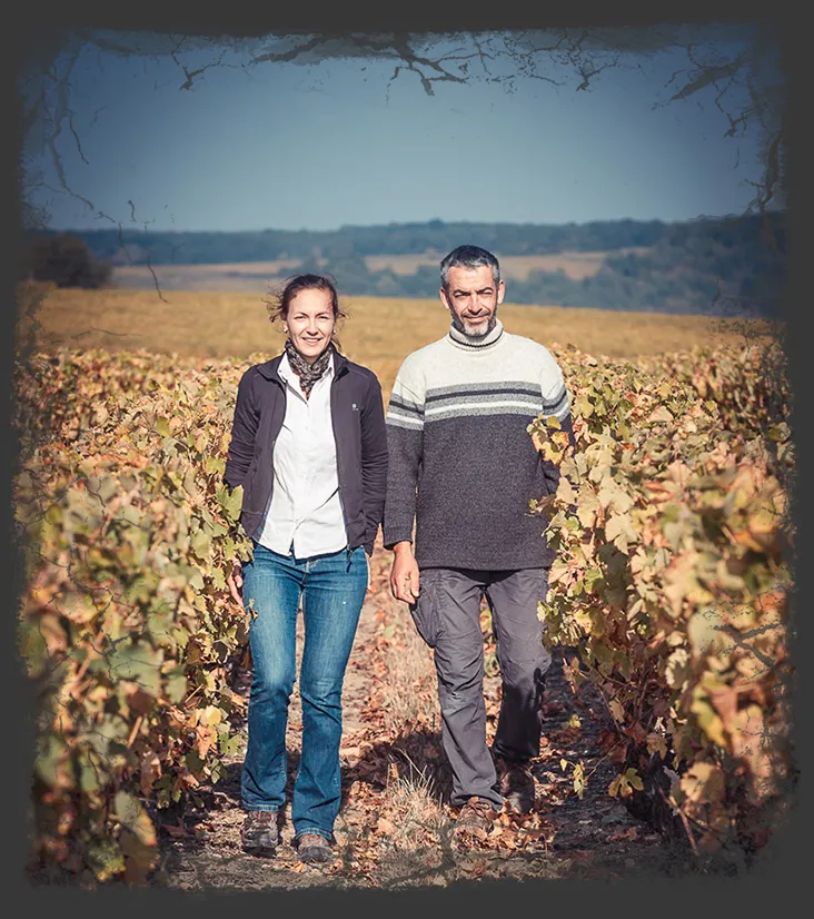 Photo de Vignoble Alain Robert
