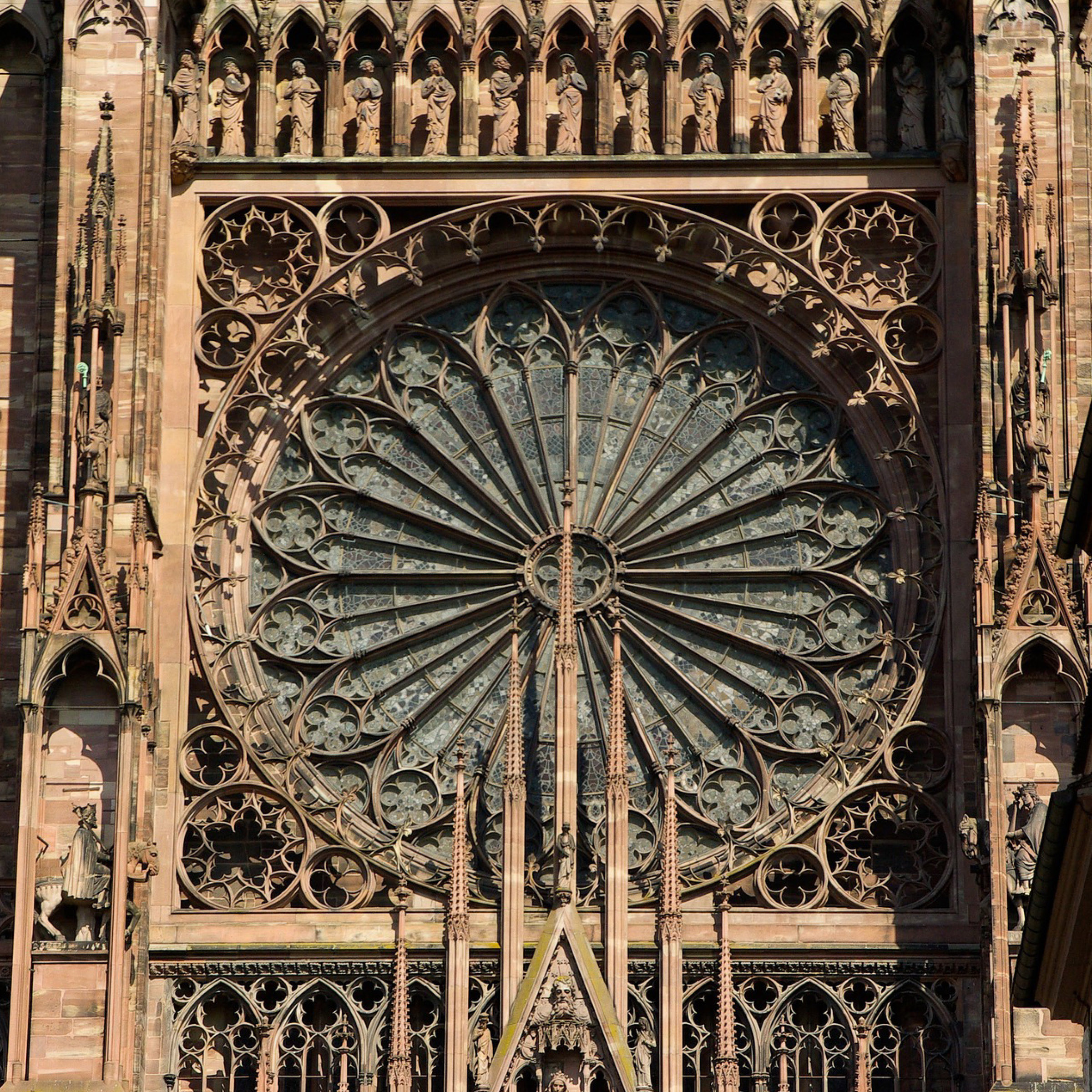 Photo de VIGNOBLE FAMILLE CARLE