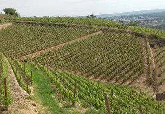 Vignoble Roland GRANGIER Roland et Céline