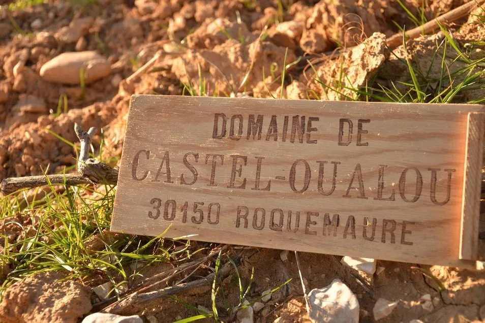 Photo de Vignobles Assemat