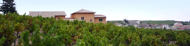 Bandeau Vignobles Bodillard Renaud Bodillard