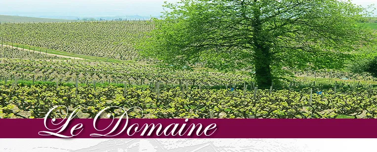 Photo de Vignobles Bodillard Renaud Bodillard