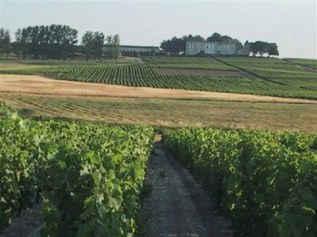 Vignobles Loubrie et Château Valguy