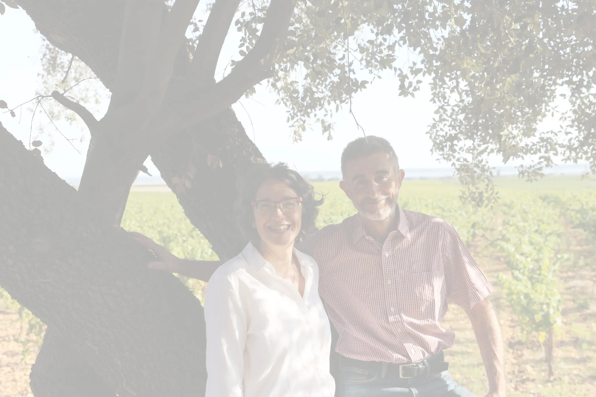 VIGNOBLES MICHEL GASSIER