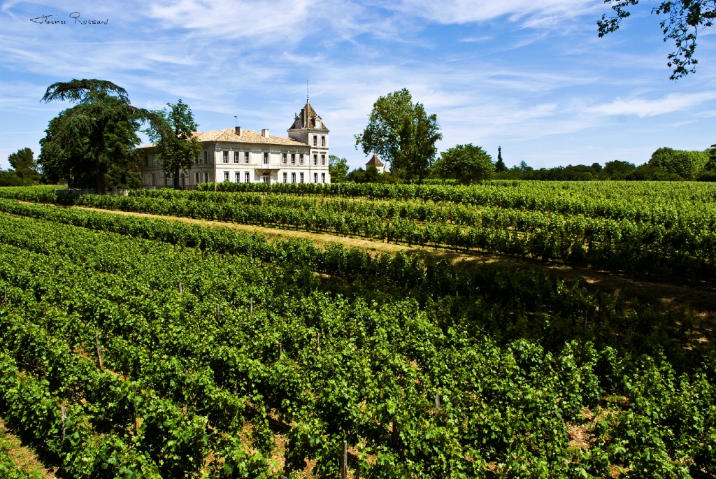 Vignobles PE Janoueix