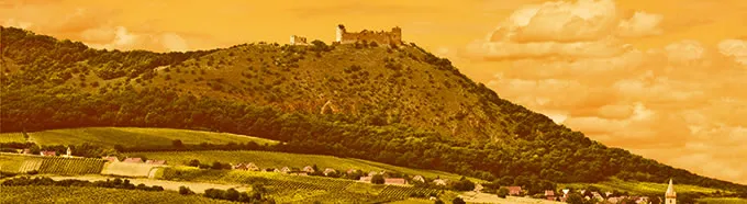 Logo VINARSTVI PAVLOV spol sro