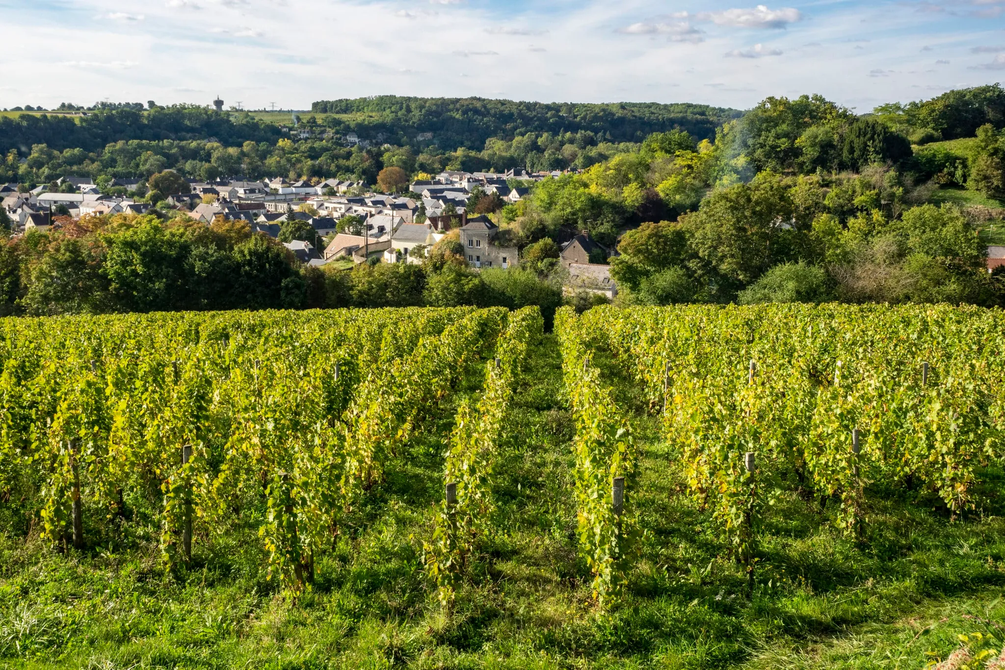 Bandeau Vincent Carême