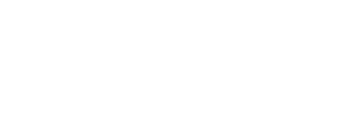 Logo Vins d'Alsace Flesch et Schrirmer