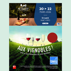 Bandeau Vins d'Alsace Thierry Martin