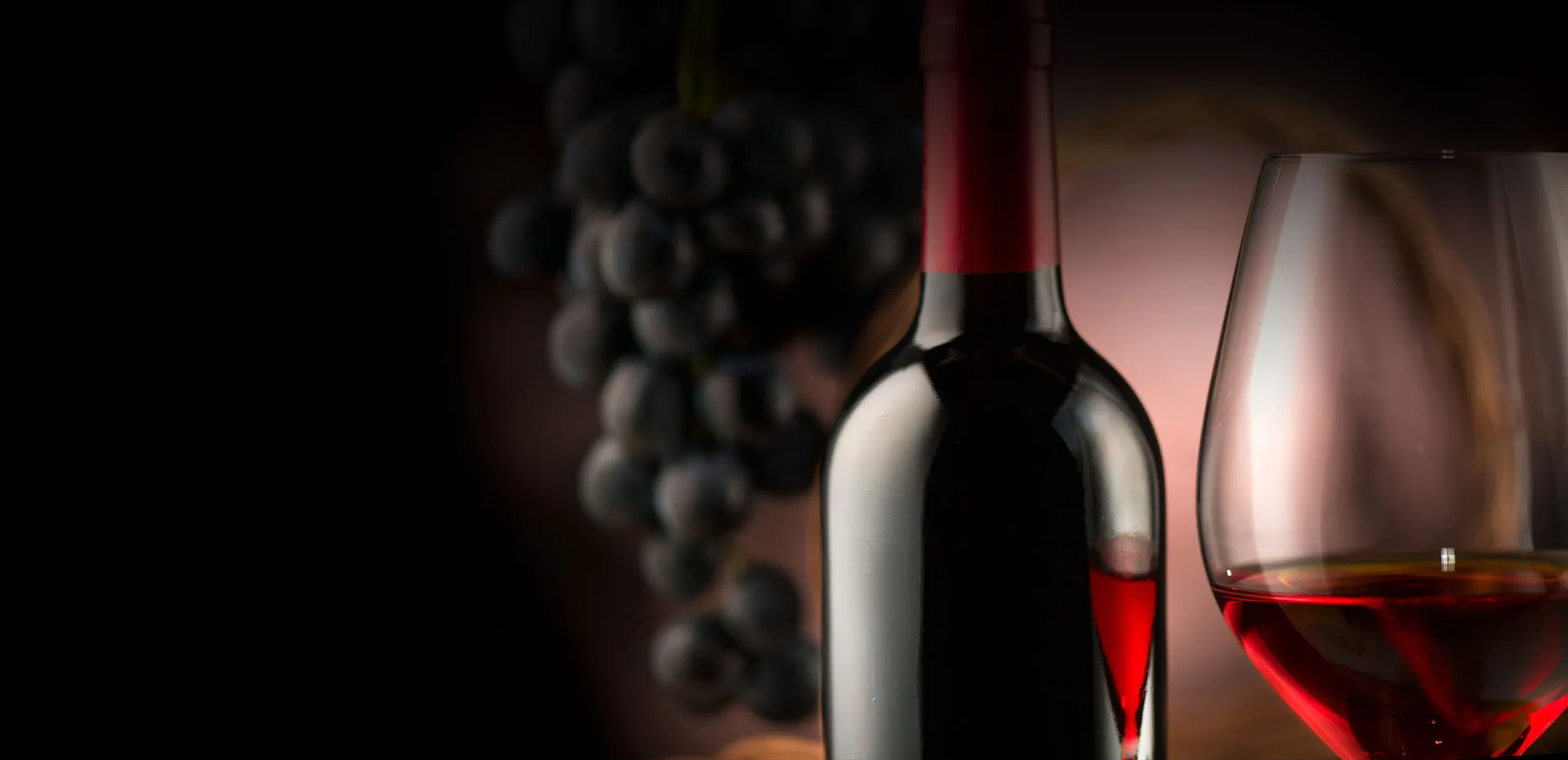 Bandeau VINS DU TSAR Thézac Perricard