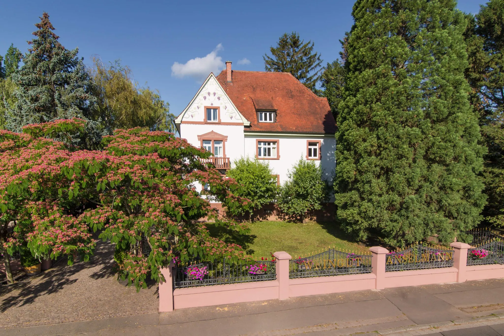 Photo de WEINGUT WERNER ANSELMANN & GEBRÜDER ANSELMANN GmbH