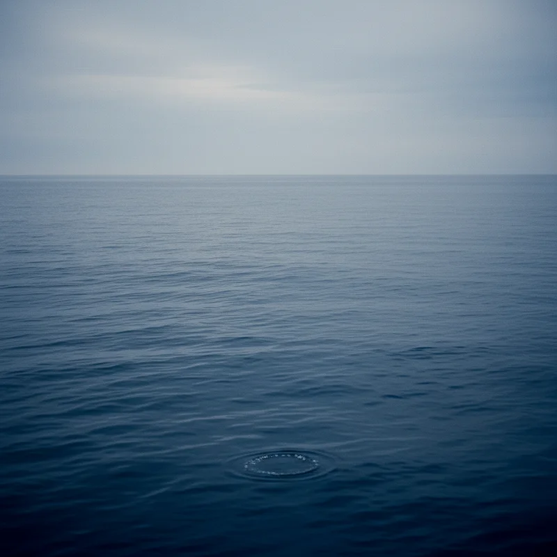 Російські ракетоносії залишалися у портах: ВМС України фіксують відсутність активності в Чорному морі