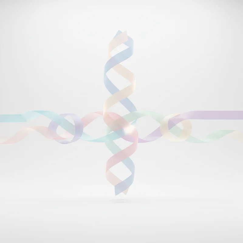 Психолог Микола Олійник: Розуміння п'яти мов кохання для гармонійних стосунків