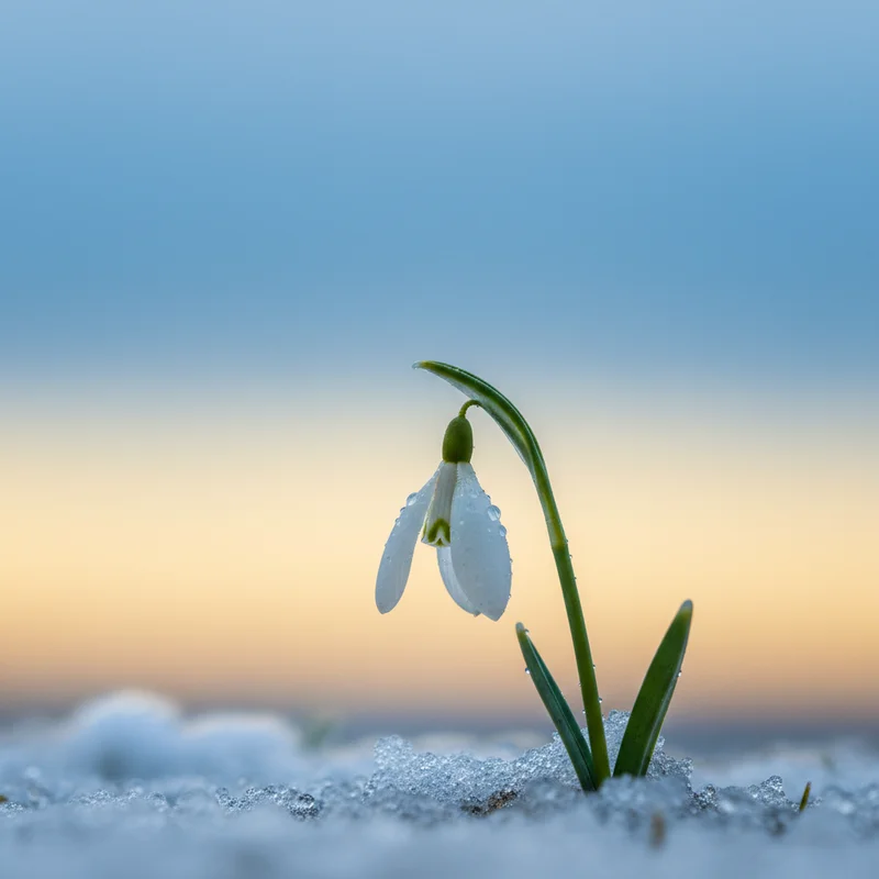 Україна готується до потепління: детальний прогноз погоди на п'ятницю, 13 лютого